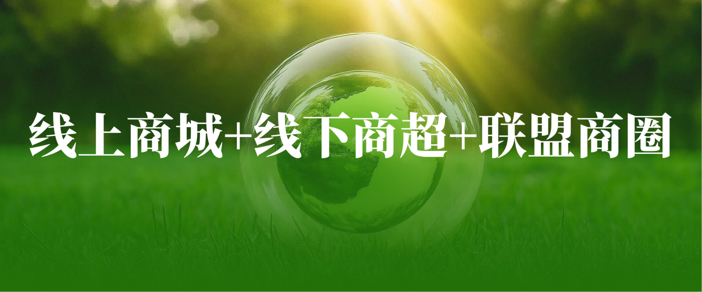 【我店数科】数字化赋能：线上商城+线下商超+联盟商圈