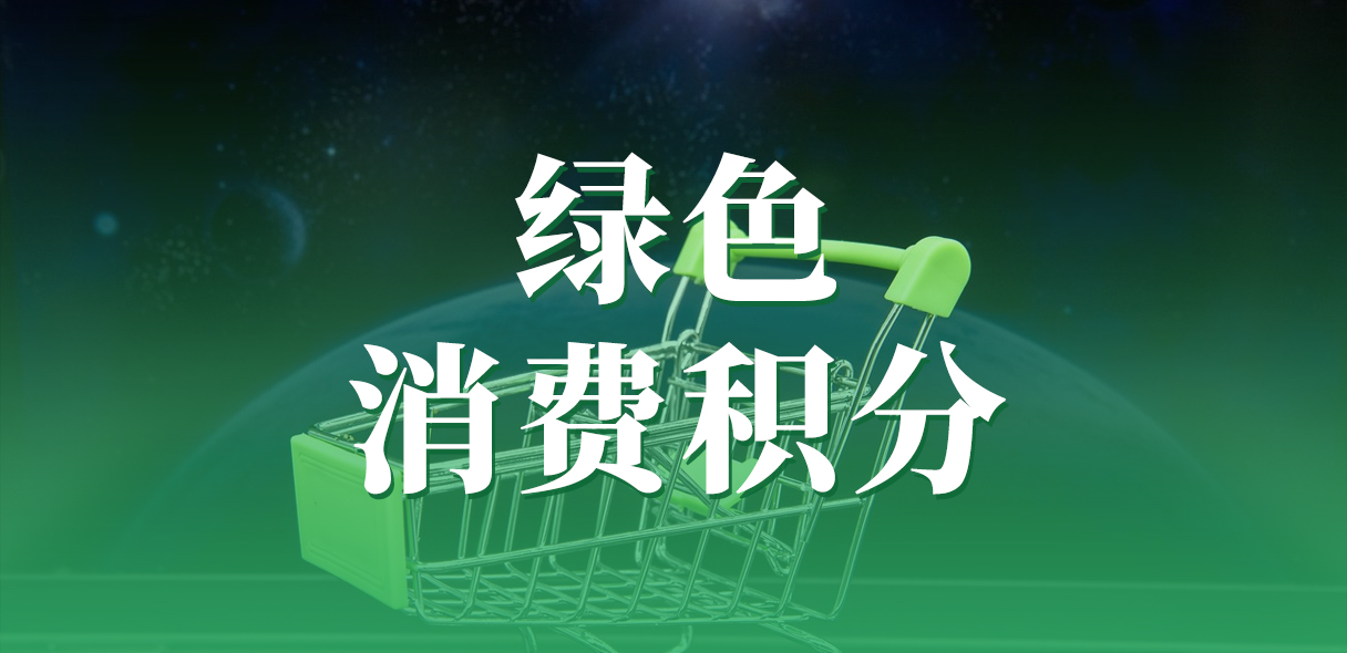 从被动消费到主动参与：绿色消费积分模式的魅力何在？